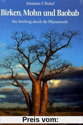 Birken, Mohn und Baobab: Ein Streifzug durch die Pflanzenwelt